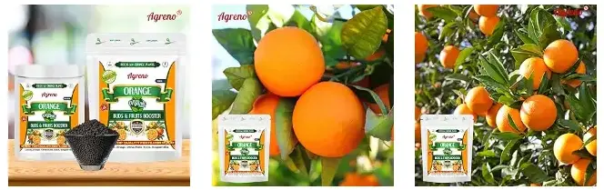 Agreno Orange Buds and Fruit Booster