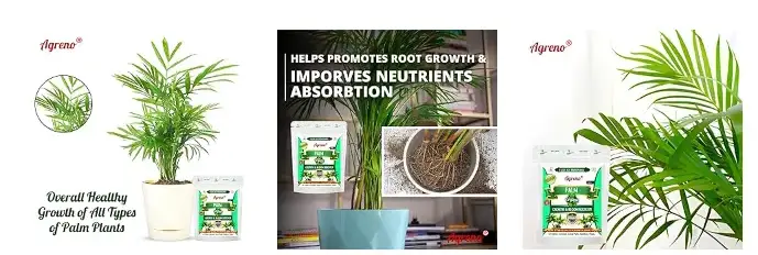 Agreno Palm Growth and Bloom Booster