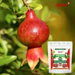 Agreno Pomegranate Buds and Fruit Booster