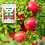 Agreno Pomegranate Buds and Fruit Booster