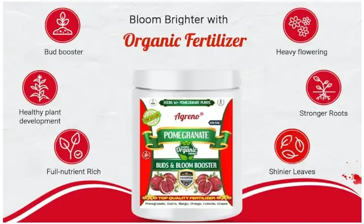 Agreno Pomegranate Buds and Fruit Booster