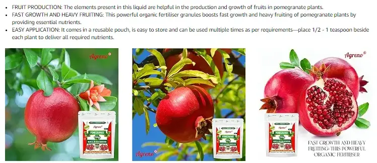 Agreno Pomegranate Buds and Fruit Booster