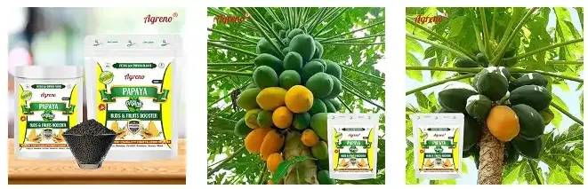 Agreno Papaya Buds and Fruit Booster