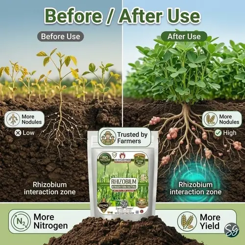 Sansar_Green_Rhizobium_Bio_Fertilizer_Powder(1)