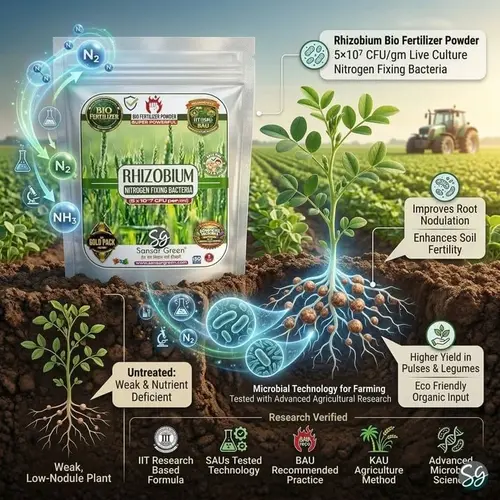 Sansar_Green_Rhizobium_Bio_Fertilizer_Powder(2) Sansar Green Rhizobium Bio Fertilizer Powder