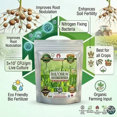 Sansar_Green_Rhizobium_Bio_Fertilizer_Powder(4) Sansar Green Rhizobium Bio Fertilizer Powder