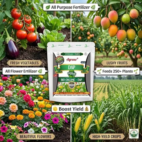 Agreno_Bio_Organic_DAP_Fertilizer (4)
