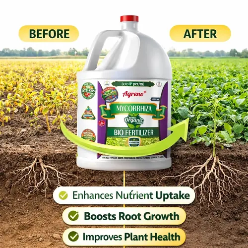 Agreno_Mycorrhiza_Liquid_Bio_Fertilizer (3) Agreno Mycorrhiza Liquid Bio Fertilizer