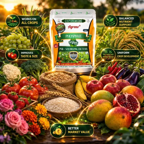 Agreno_PSB_Bio_Fertilizer_Phosphate_Solubilizing_Bacteria (3) Agreno PSB Bio-Fertilizer – Phosphate Solubilizing Bacteria