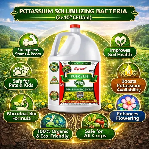 Agreno_Potassium_KMB_Liquid_Bio_Fertilizer (4) Agreno Potassium KMB Liquid Bio Fertilizer