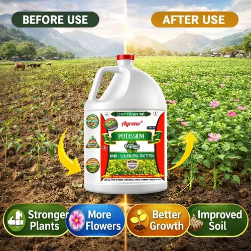 Agreno_Potassium_KMB_Liquid_Bio_Fertilizer (5) Agreno Potassium KMB Liquid Bio Fertilizer