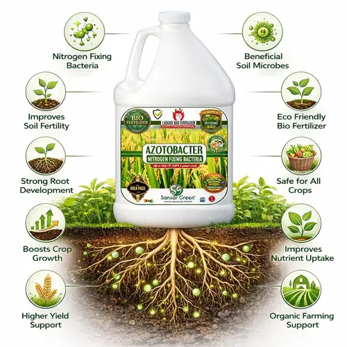 Sansar_Green_Azotobacter_Liquid_Bio_Fertilizer (2) Sansar Green Azotobacter Liquid Bio Fertilizer