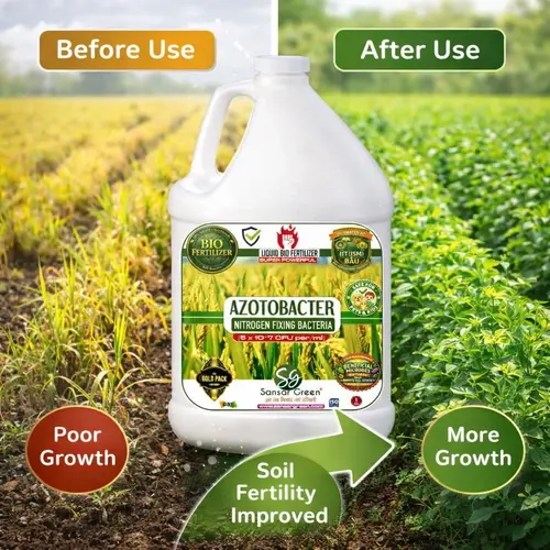 Sansar_Green_Azotobacter_Liquid_Bio_Fertilizer (3)
