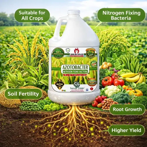 Sansar_Green_Azotobacter_Liquid_Bio_Fertilizer (5)