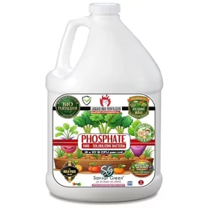 Sansar Green Phosphate KMB Solubilizing Bacteria Liquid Bio Fertilizer