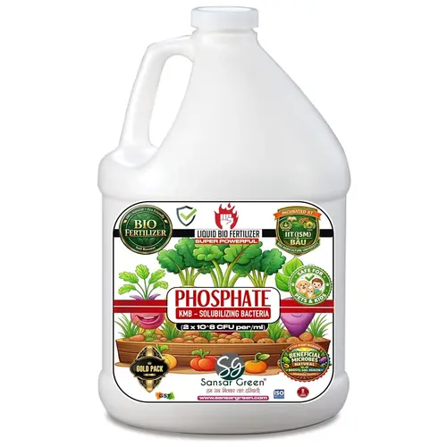 Sansar_Green_Phosphate_KMB_Solubilizing_Bacteria_Liquid_Bi_ Fertilizer (1) Sansar Green Phosphate KMB Solubilizing Bacteria Liquid Bio Fertilizer