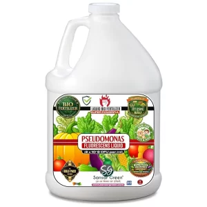 Sansar Green® Pseudomonas Fluorescens Liquid Bio Fertilizer