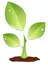 Best bio fertilizer for plants
