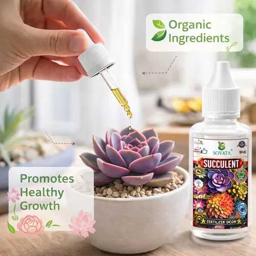 Sovata_Succulent_Fertilizer_Drops, (1) Sovata Succulent Fertilizer Drops